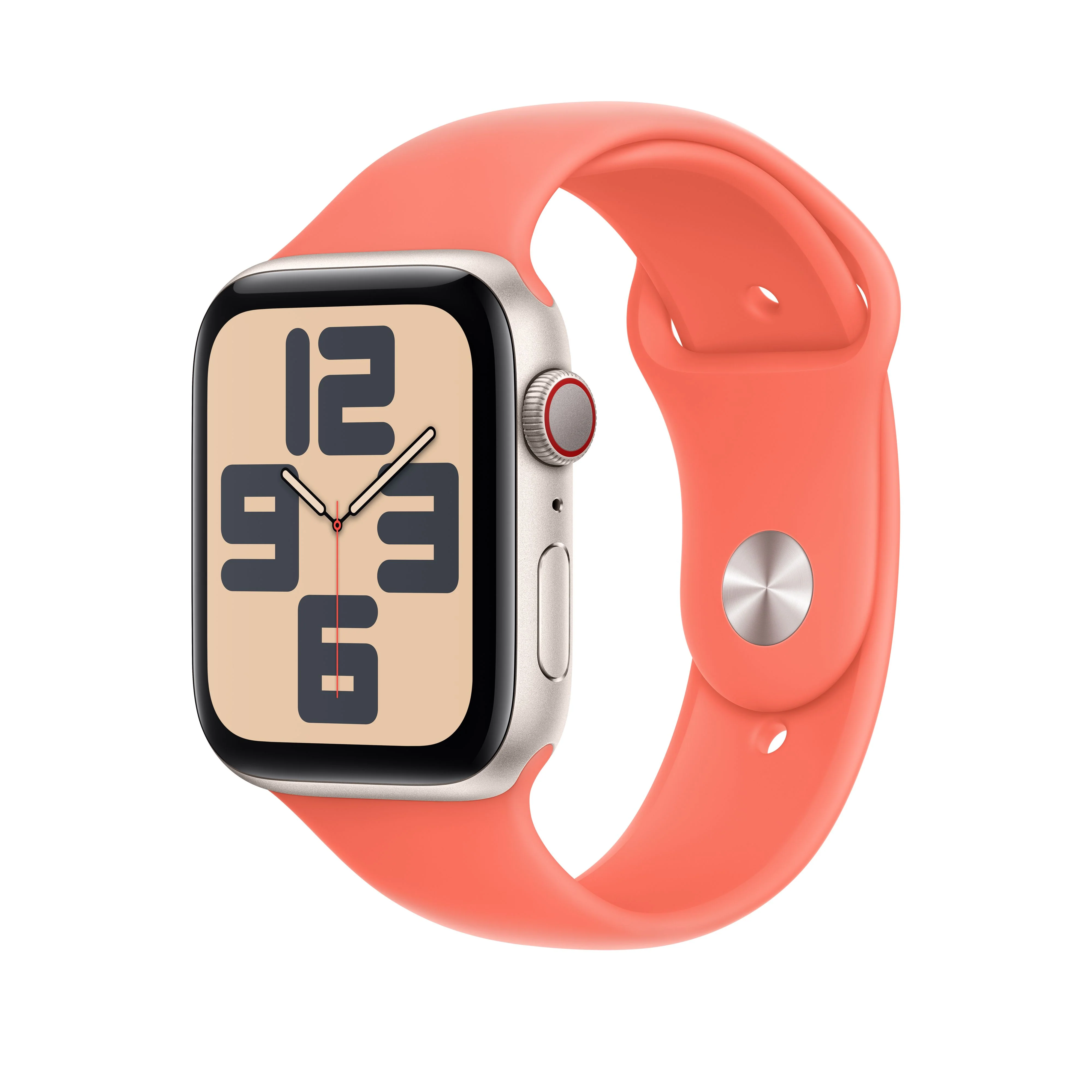 EOL Sportbandje - Tangerine (40 mm) - S/M - Image 2