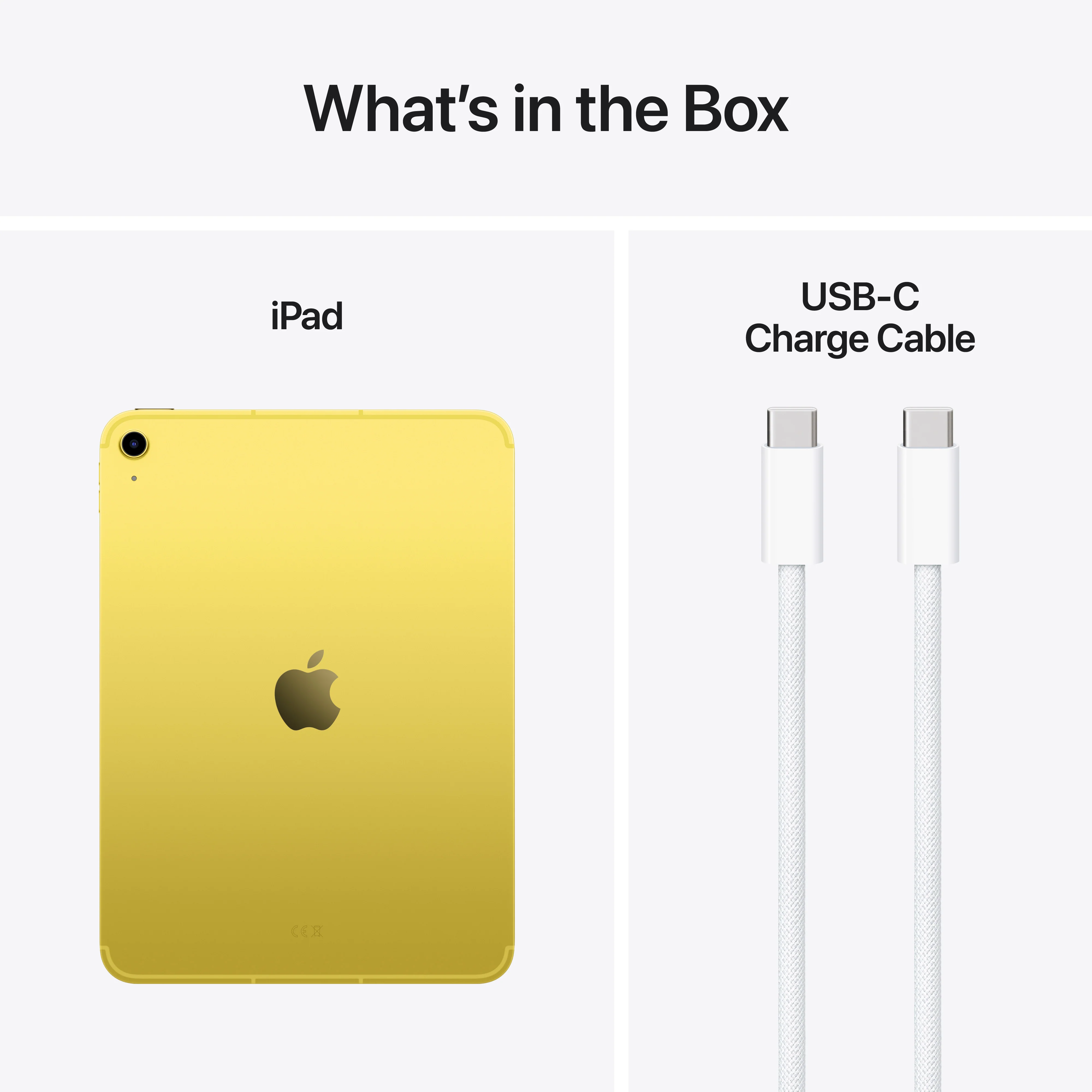 iPad Wi-Fi + Cellular 256 GB - Geel (A16) - Image 8