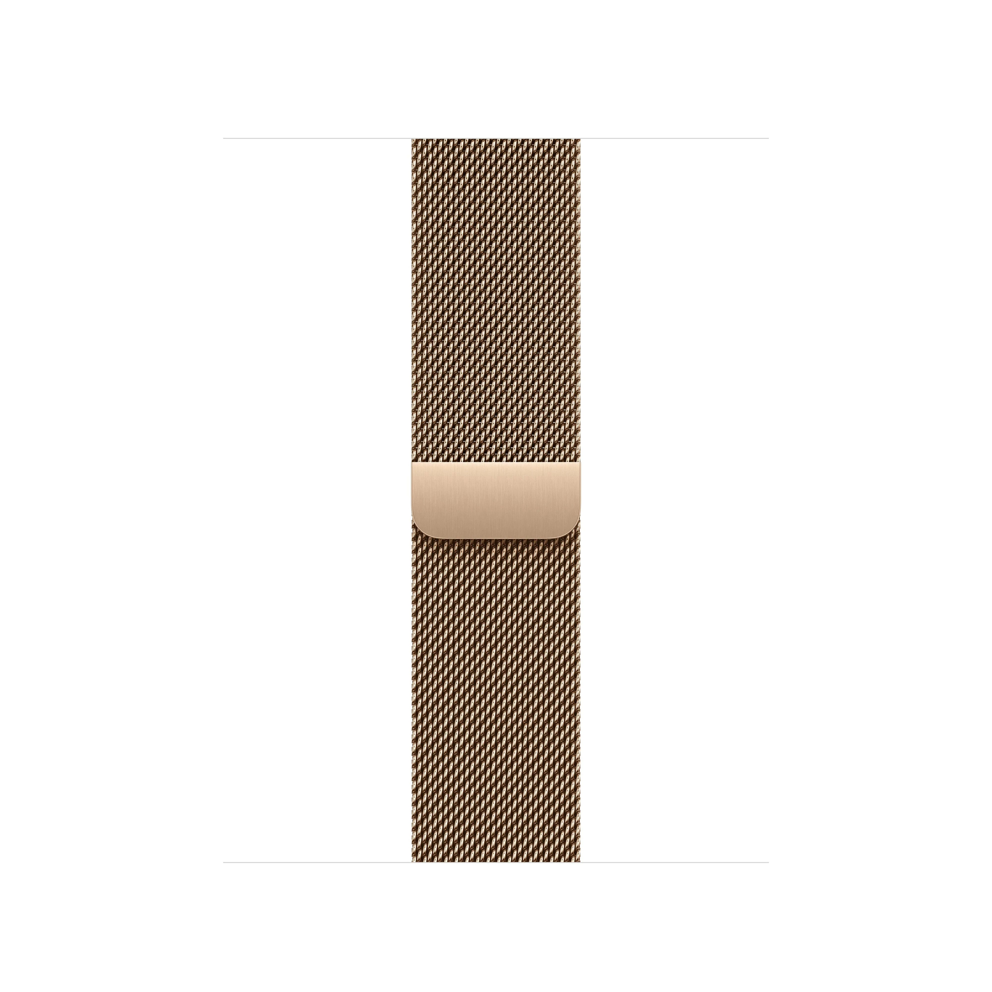 Goudkleurig Milanees bandje (40 mm)
