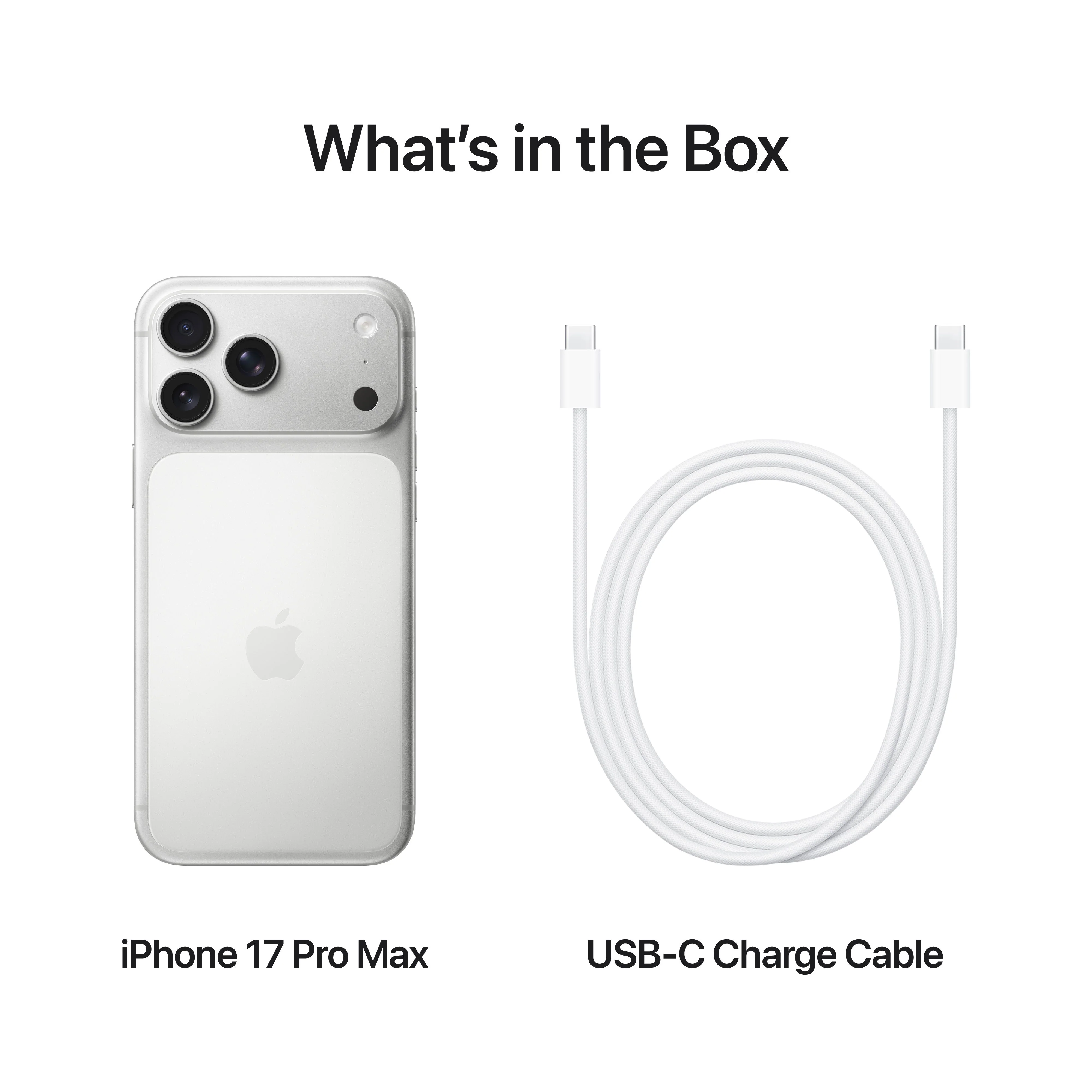 iPhone 17 Pro Max 1 TB Zilver - Image 8